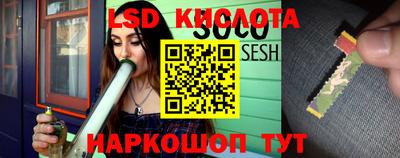 бошки Новодвинск