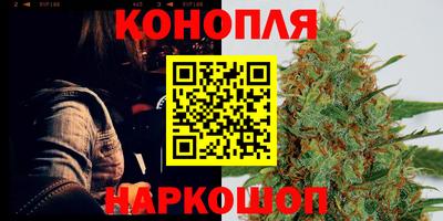 бошки Новодвинск