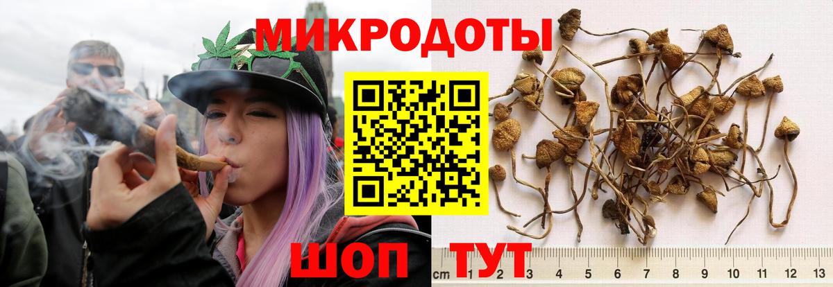 Галлюциногенные грибы мицелий  Вход с VPN  Тамбов 